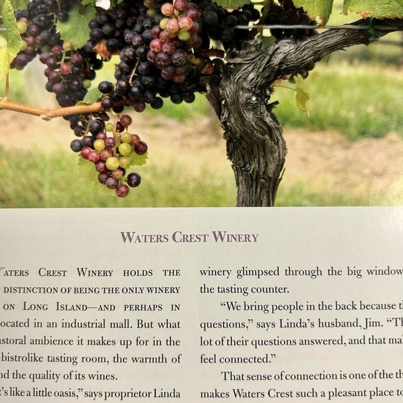 Long Island Wine Country Award Winning Vinyards of the North Fork and Hamptons - Picture 10 of 10